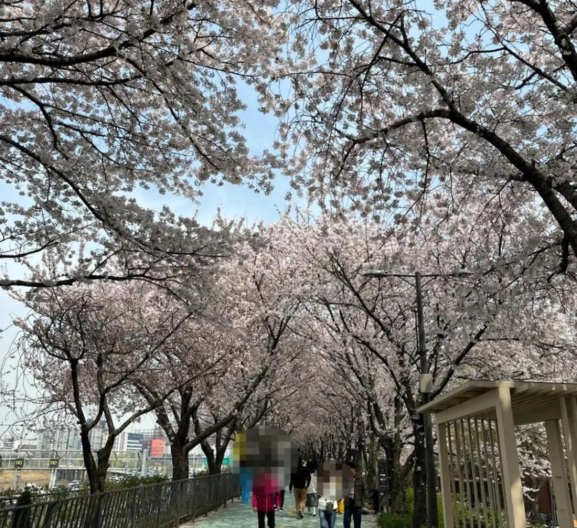 Appartement 401, Atelier Seongsu Riverside Loft Cherry Blossom Road Han River Airport Bus Seoel